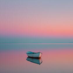 Steps in the Stillness