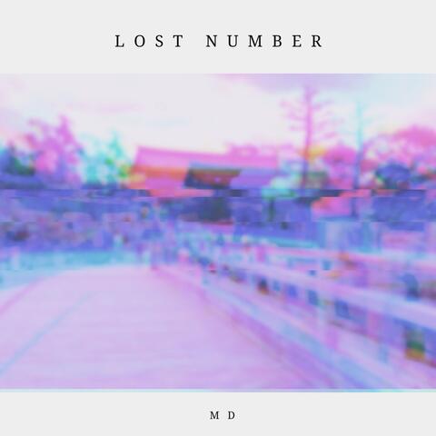 Lost Number