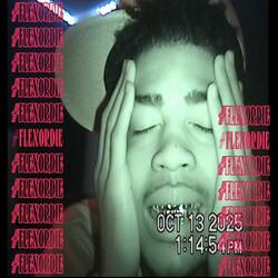 Flexordie