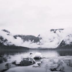 Elegance