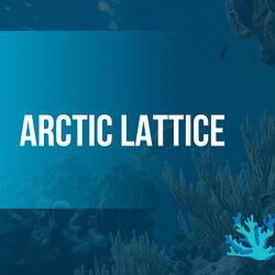 Artic Lattice