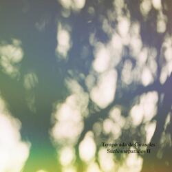 Sueños Separados II