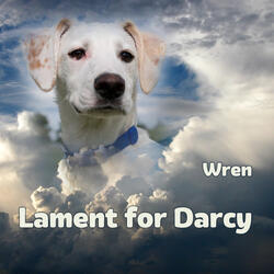 Lament for Darcy