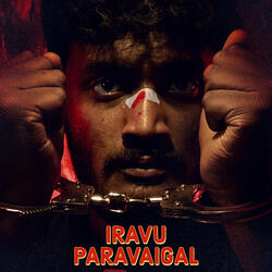 Iravu Paravaigal Theme