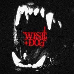WISE DOG