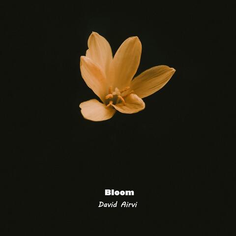 Bloom