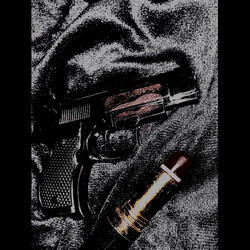 Kiss The Gun