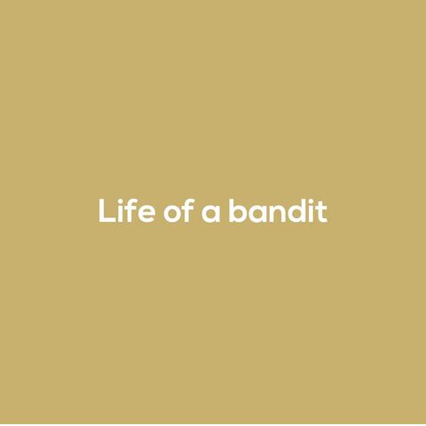 Life Of A Bandit