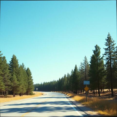 Backroads & Blue Skies