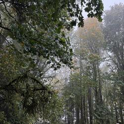 Life's a Clock and It Won't Rewind