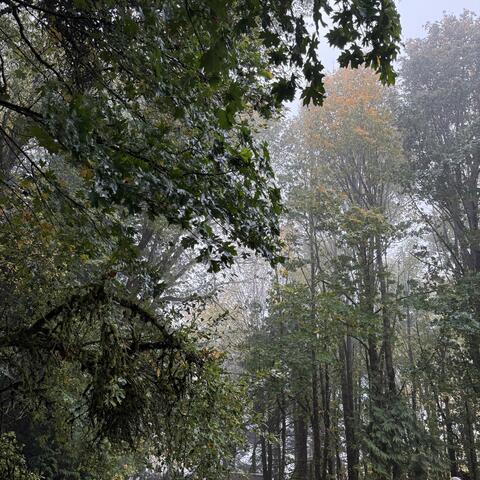 Life's a Clock and It Won't Rewind