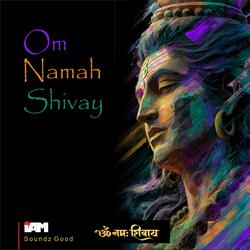 Om Namah Shivay