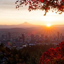 A Jesús entrega todo