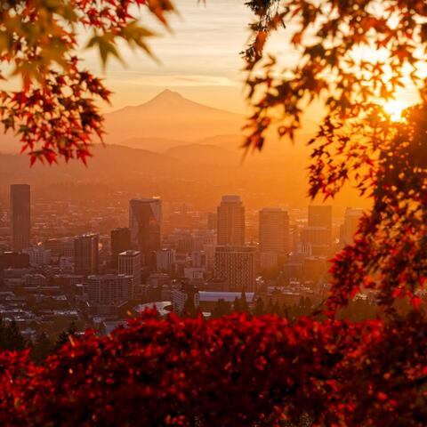 Un lugar de paz y tranquilidad