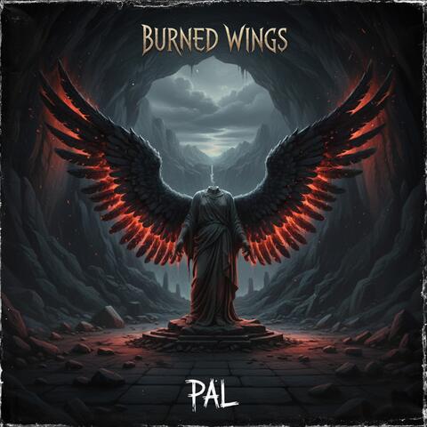 Burned Wings