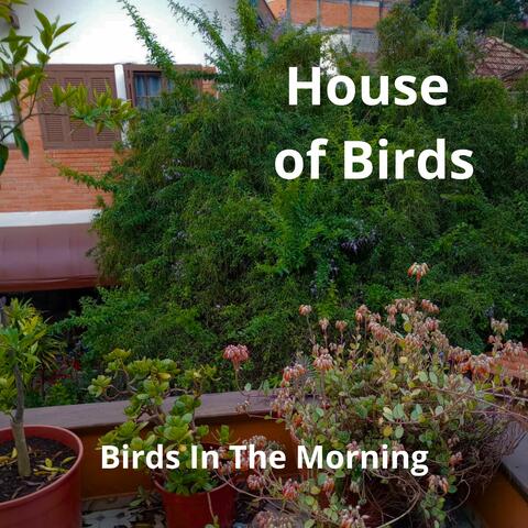 House of Birds