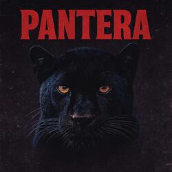 Pantera