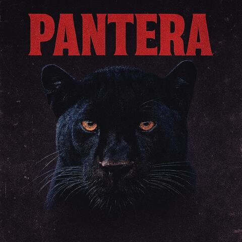 Pantera