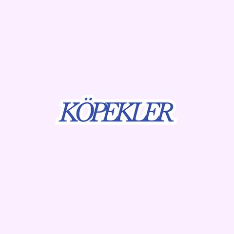 Köpekler