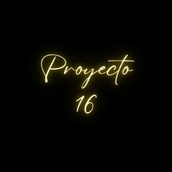 Proyecto 16