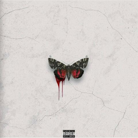 We Cant Go Out Cold!/BloodBath!