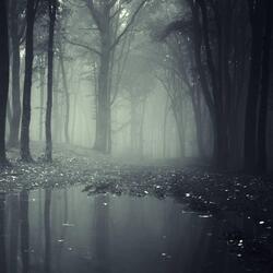 Creepy, scary, horror, synth, tension