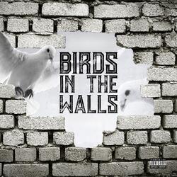 Birds in the Walls