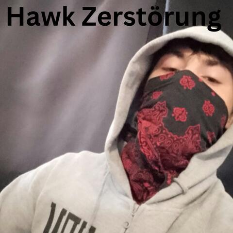 Hawk Zerstörung