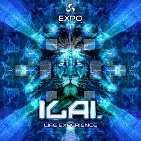 Life Experience