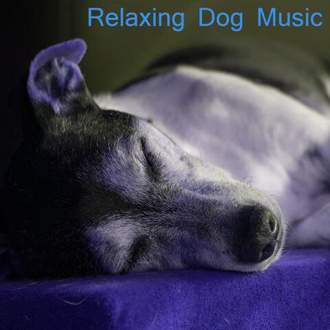 Relaxing Dog Music