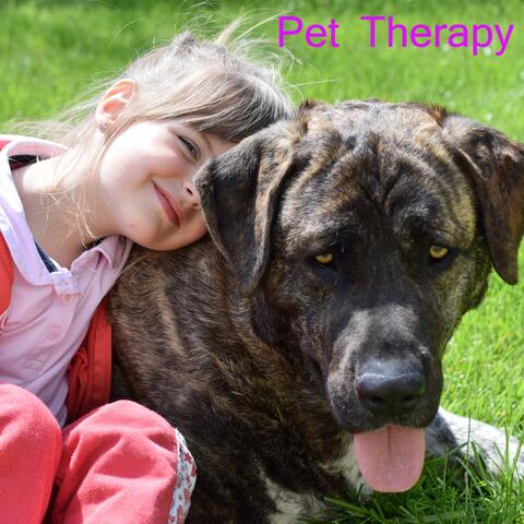 Pet Therapy