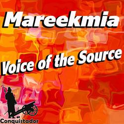 Voice of the Source