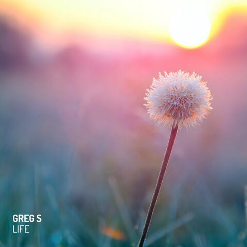 Greg S