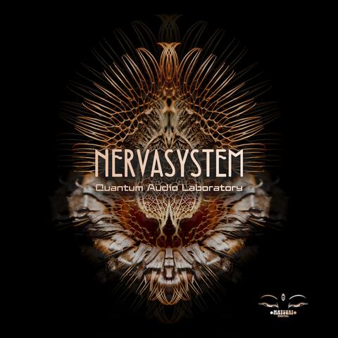 Nervasystem