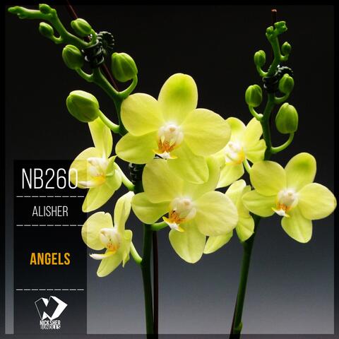 Angels