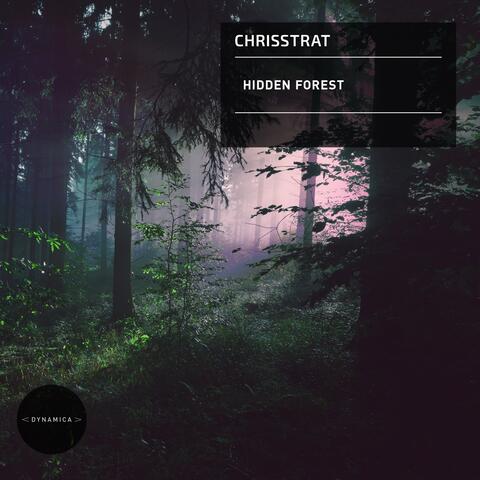 Hidden Forest