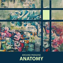 Anatomy