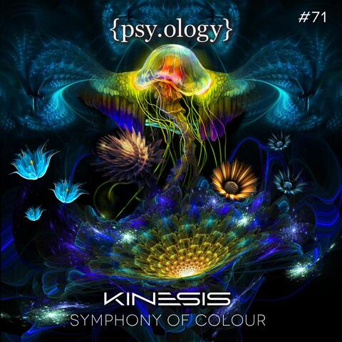Kinesis