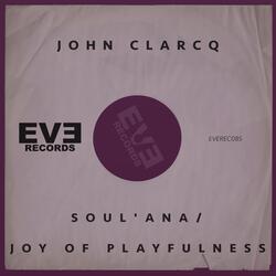 Joy of Playfulness