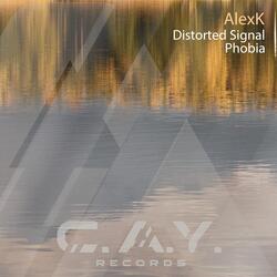 Distorted Signal