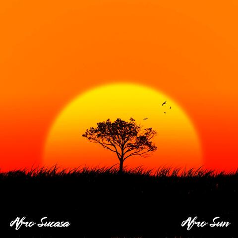 Afro Sun