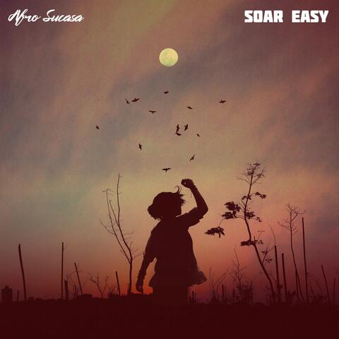 Soar Easy