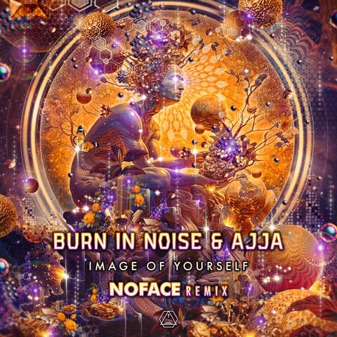 Ajja and Burn In Noise
