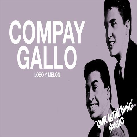 Compay Gallo