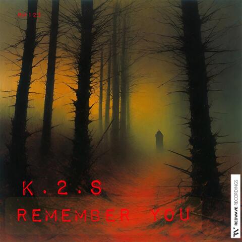 Remember You