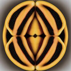 Roots & Wings - Murat Uncuoglu & Alican Remix