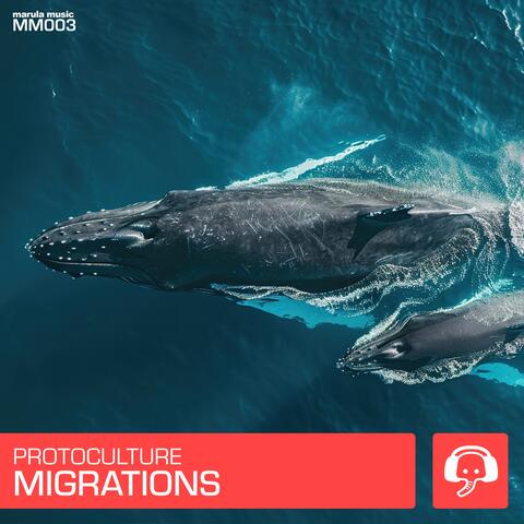 Migrations