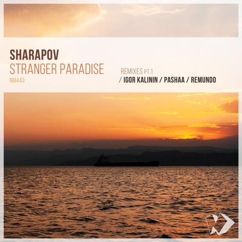Stranger Paradise: Remixes, Pt. 1