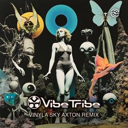 Vinyla Sky