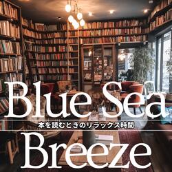 Quiet Moments of Discovery